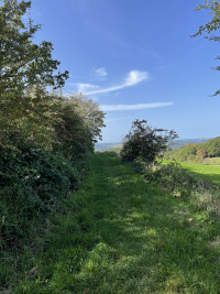 Waffeln, Eis und heiße Kirschen