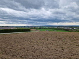 GG Eifel 01/24 Manderscheid