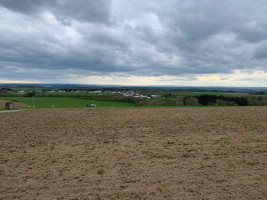 GG Eifel 01/24 Manderscheid