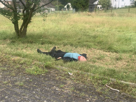 GG Eifel 06/24 Bitburgerland