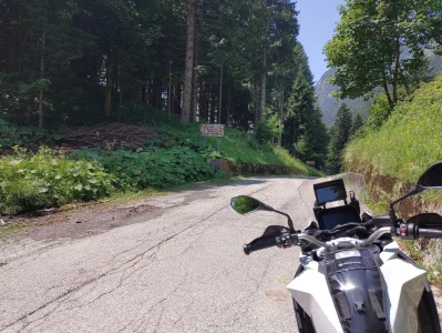 Kärnten 2025