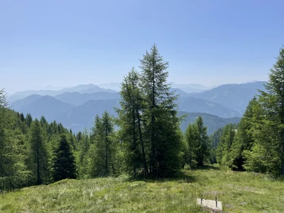 Kärnten 2025