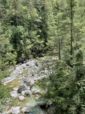 Kärnten 2025