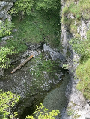Kärnten 2025