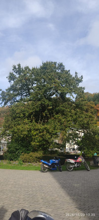 Tour nach Belgien,Kurvenreich ohne AB
