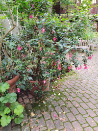 Auf zum Solling! (Weserbergland)