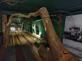 Auf zum Solling! (Weserbergland)