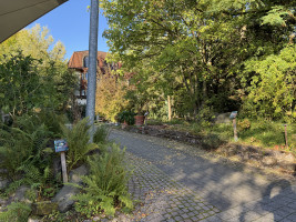 Auf zum Solling! (Weserbergland)