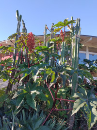 Auf zum Solling! (Weserbergland)