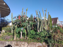 Auf zum Solling! (Weserbergland)