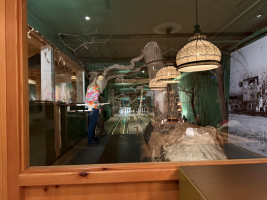 Auf zum Solling! (Weserbergland)