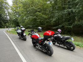 Auf zum Solling! (Weserbergland)