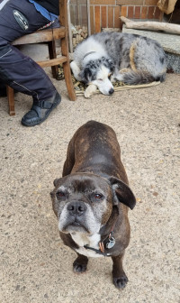 Sonntagsausfahrt in die Eifel zum Cafe zur Tanke in Kail/Mosel