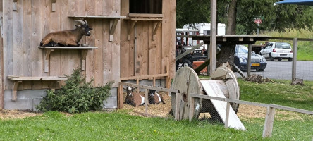 Tour zum Blockhaus am schwarzen Mann