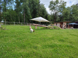Tour zum Blockhaus am schwarzen Mann