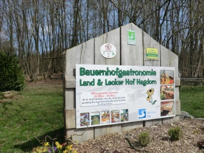 Cafe-Tour Hagdorn (Wissen) - Siegtour