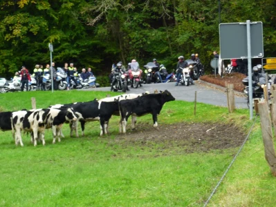 Motorradkorso zum Altenberger  Dom