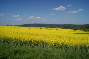 Vatertagstour in den Odenwald 2016