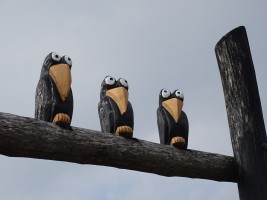 Mädelstour 2016 in die Rhön