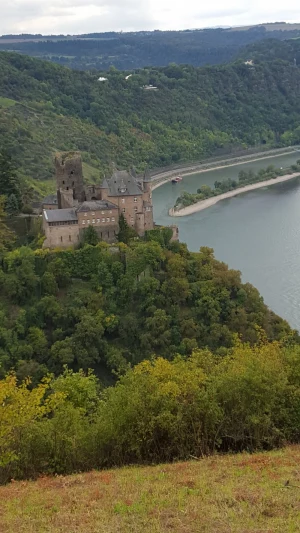 Drei Burgen Blick