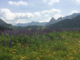 Österreich einmal anders  Vorarlberg/Bregenzer WaldA