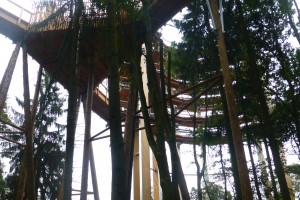 Ullas Schnelle Langstreckentour zur Saarschleife