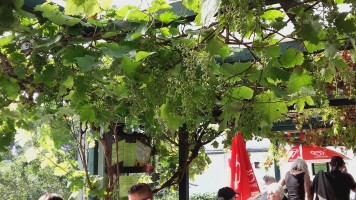 Gemütlich und Sicher. Besuch in Cochem