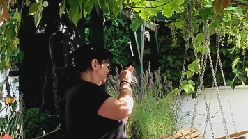 Gemütlich und Sicher. Besuch in Cochem