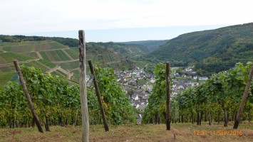 Eifel-Serpentinentour