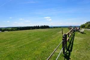 Dümpel Flugplatz