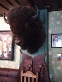 Gemütlich und sicher     3 Tage Harz Pullman City