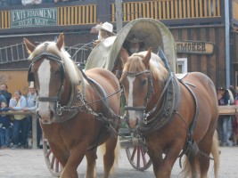 Gemütlich und sicher     3 Tage Harz Pullman City