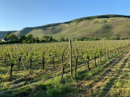 BFR Jahres Tour 2019