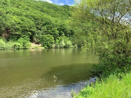 BFR Jahres Tour 2019