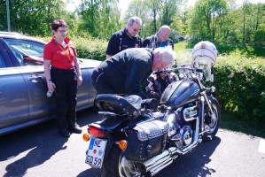 Der etwas andere kleine Limburger...