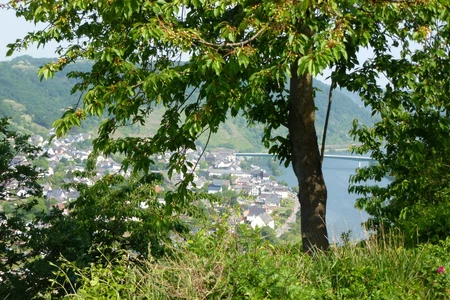 Mosel-Kehren-Tour