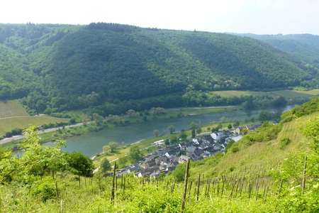 Mosel-Kehren-Tour