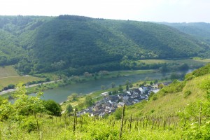 Mosel-Kehren-Tour