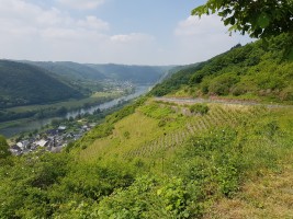 Mosel-Kehren-Tour