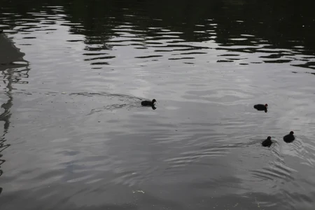 Gemütlich und Sicher zum Hariksee.