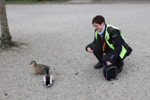 Gemütlich und Sicher zum Hariksee.