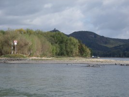 Fahrt ins Oberbergische