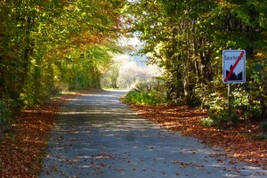 Spontane Wunschtour ins Hohe Venn nach Belgien