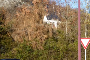 Kleine Tour an die Ahr