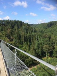Spontanfahrt zur Hängeseilbrücke Geierlay im Hunsrück