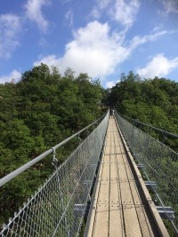 Spontanfahrt zur Hängeseilbrücke Geierlay im Hunsrück