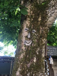 Tour zur Dornauelsmühle