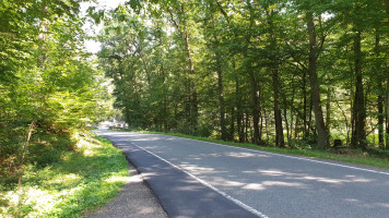 GG Rechts und Links vom Rhein