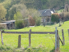 BFR Start in die Motorrad Saison 2021