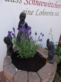 BFR Jahrestour 2022 in den Spessart zum Hotel Spechtshaardt